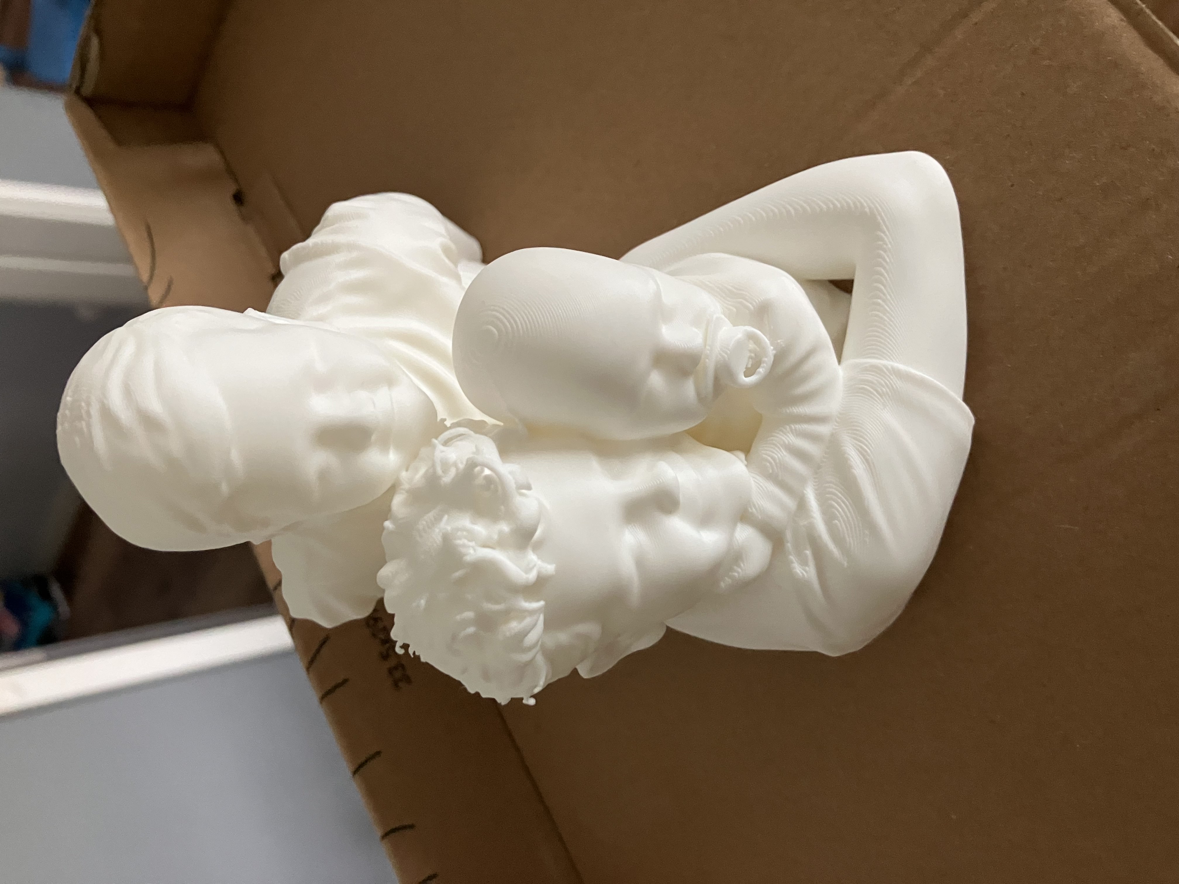 A family bust printed from a photograph